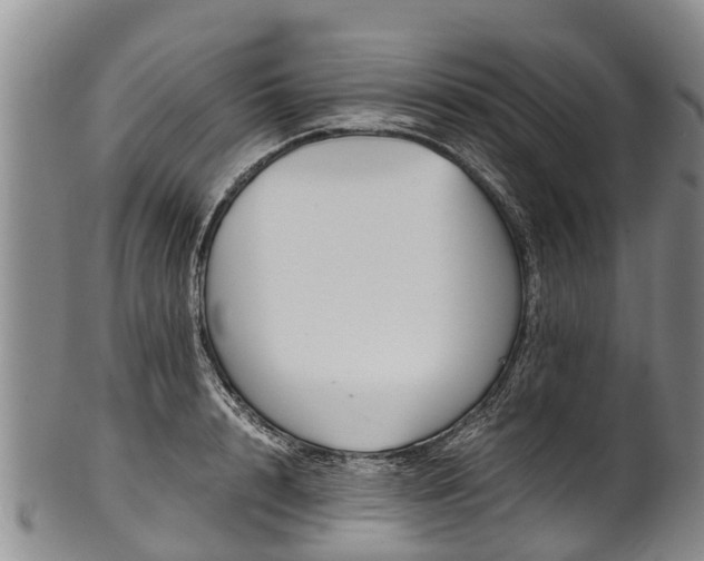 X0000102370848200808081151