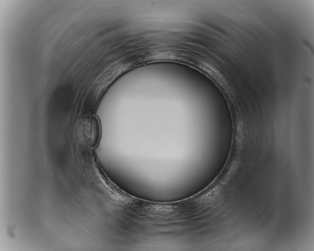 X0000102370849200808081151