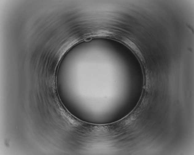 X0000102370850200808081151