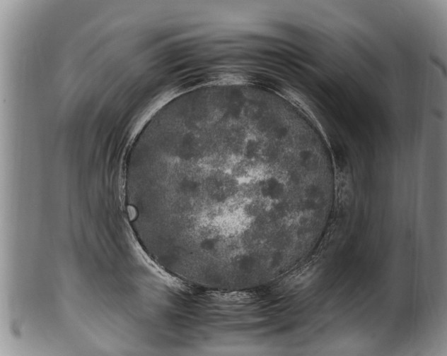 X0000102370851200808081151