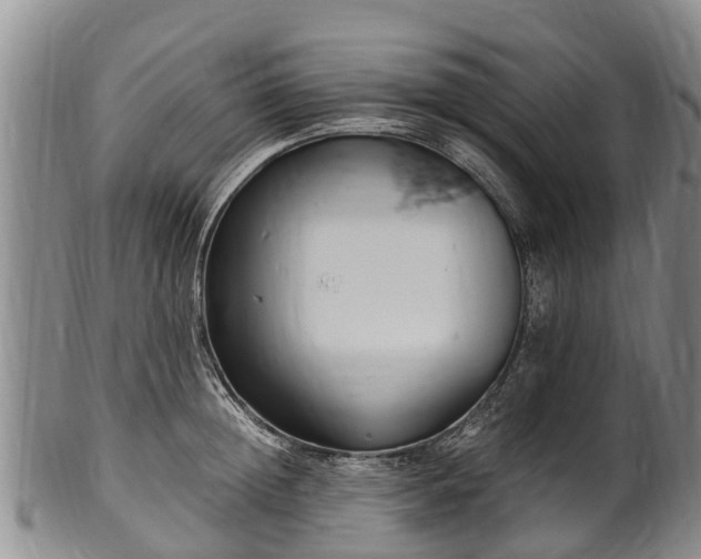 X0000102370852200808081151