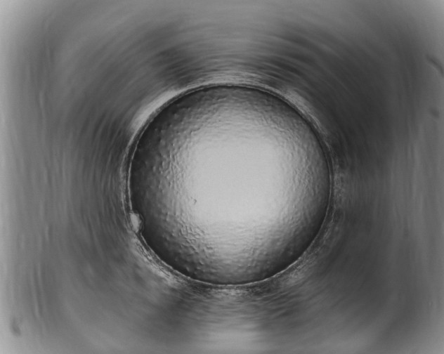 X0000102370854200808081151