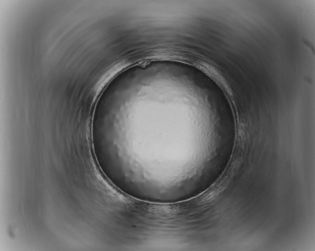 X0000102370855200808081151