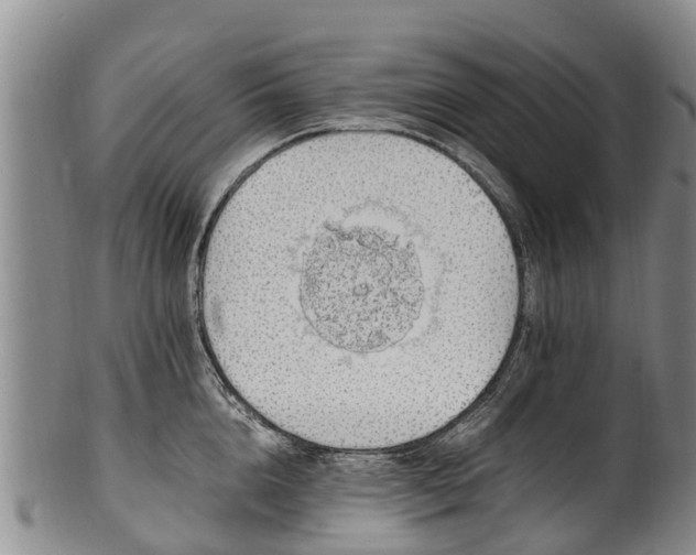 X0000102370856200808081151