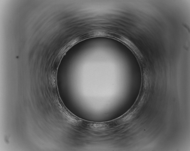 X0000102370857200808081151