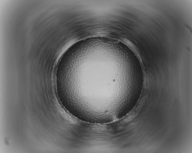 X0000102370859200808081151