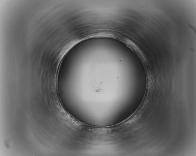 X0000102370860200808081151