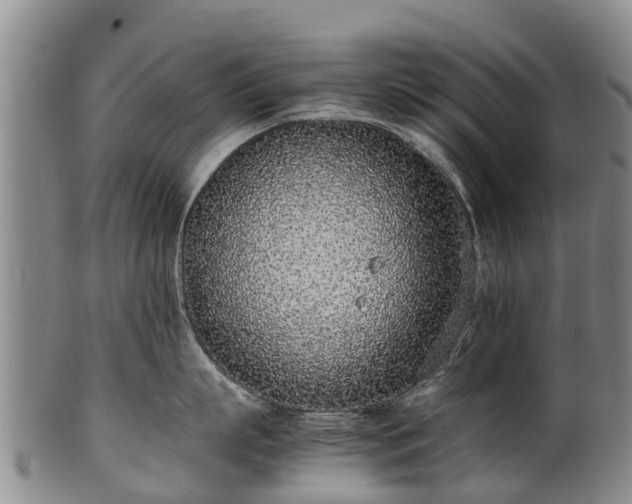 X0000102370863200808081151