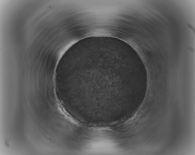 X0000102370864200808081151