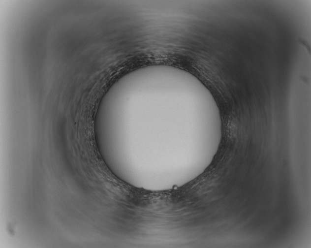 X0000102370865200808081150