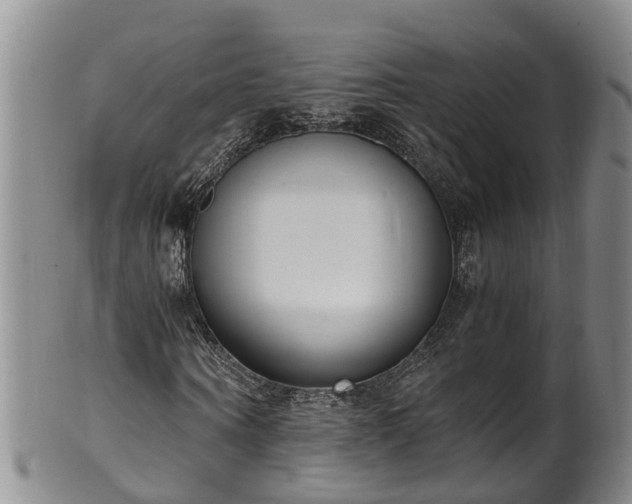 X0000102370866200808081150