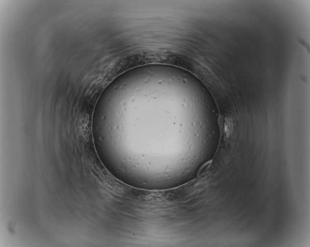 X0000102370867200808081150