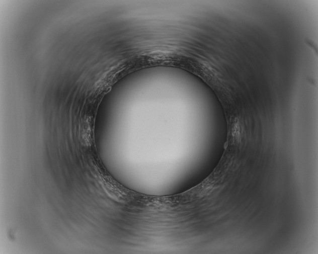 X0000102370868200808081150