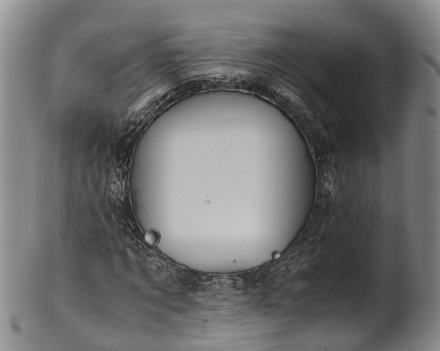 X0000102370869200808081150