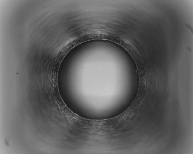 X0000102370870200808081150