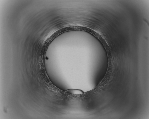 X0000102370871200808081150