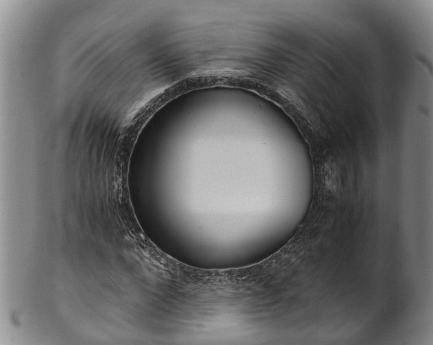 X0000102370872200808081150