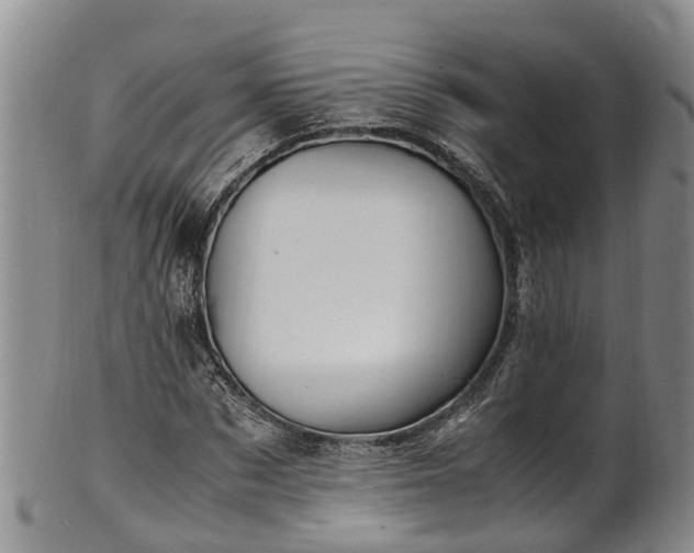 X0000102370873200808081150