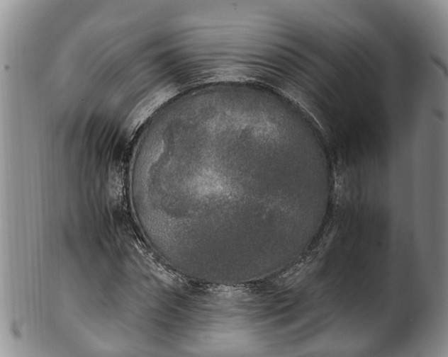 X0000102370874200808081150