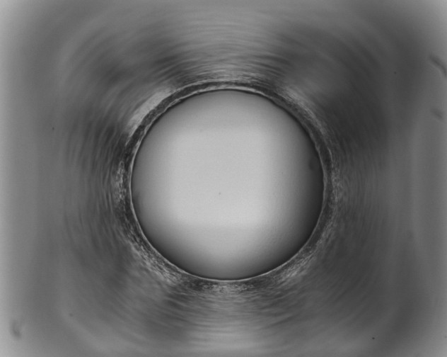 X0000102370875200808081150