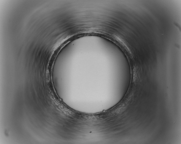 X0000102370876200808081150