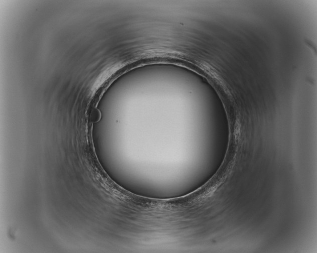 X0000102370877200808081150