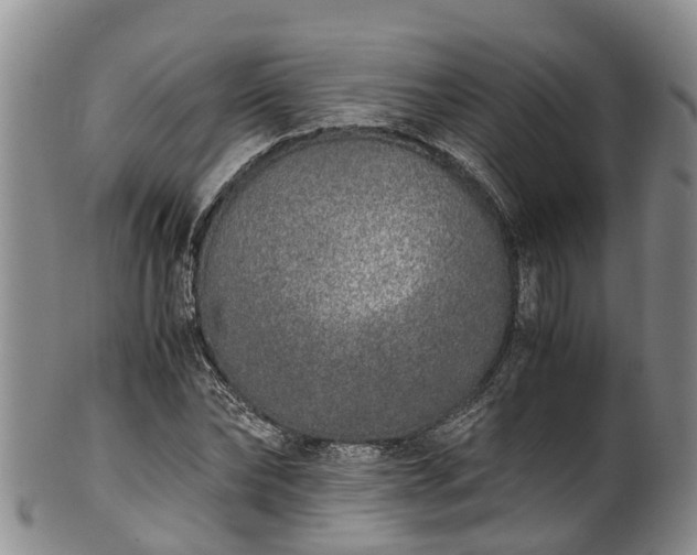 X0000102370878200808081150