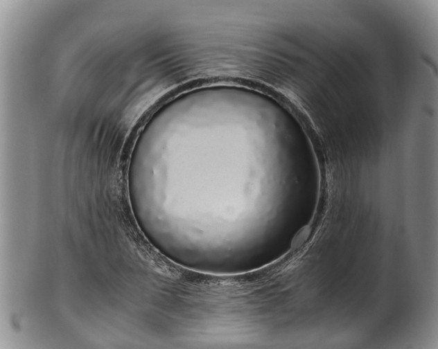 X0000102370879200808081150