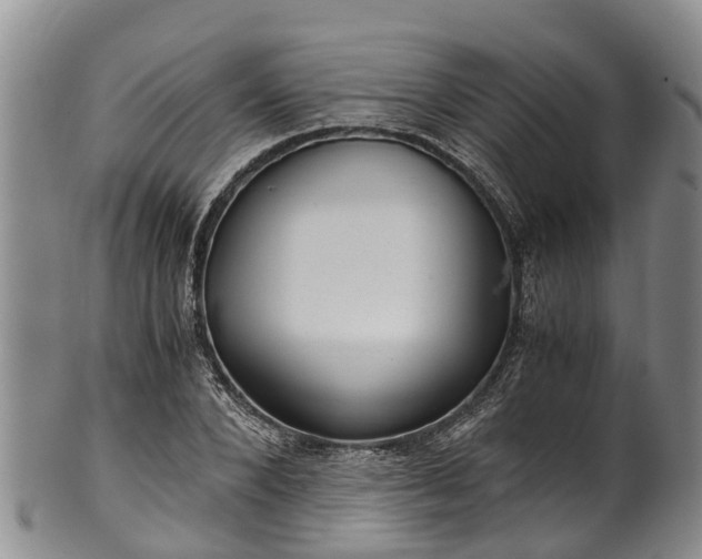 X0000102370880200808081150