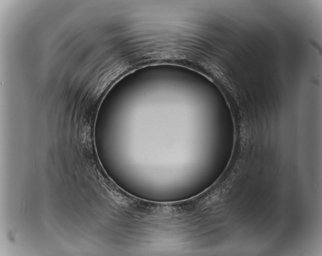 X0000102370881200808081150