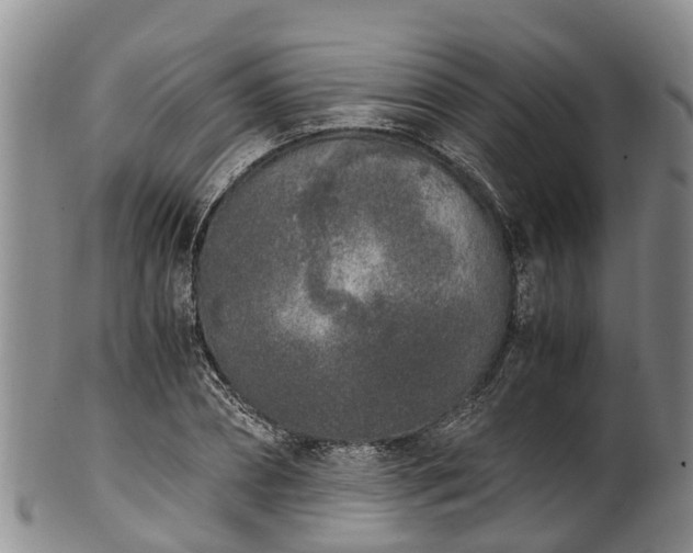 X0000102370882200808081150