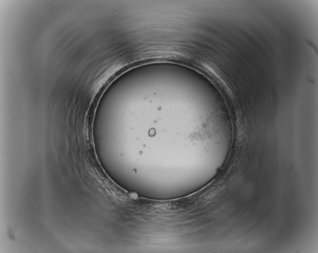 X0000102370883200808081150