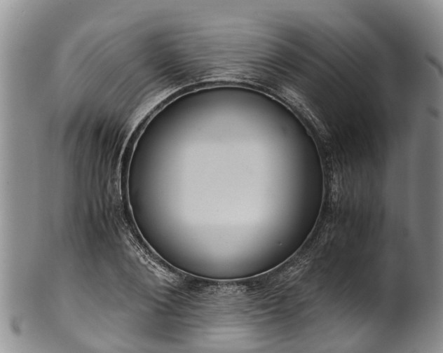 X0000102370884200808081150