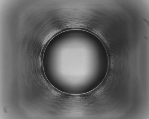 X0000102370885200808081150