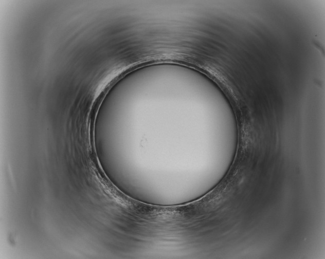 X0000102370886200808081150