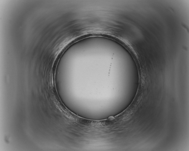 X0000102370887200808081150