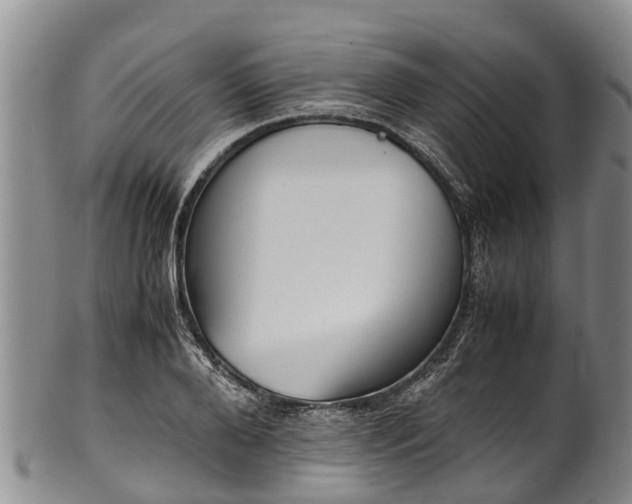 X0000102370888200808081150