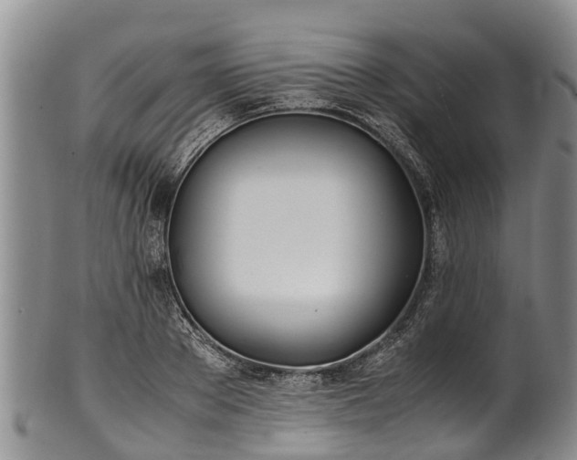 X0000102370889200808081150