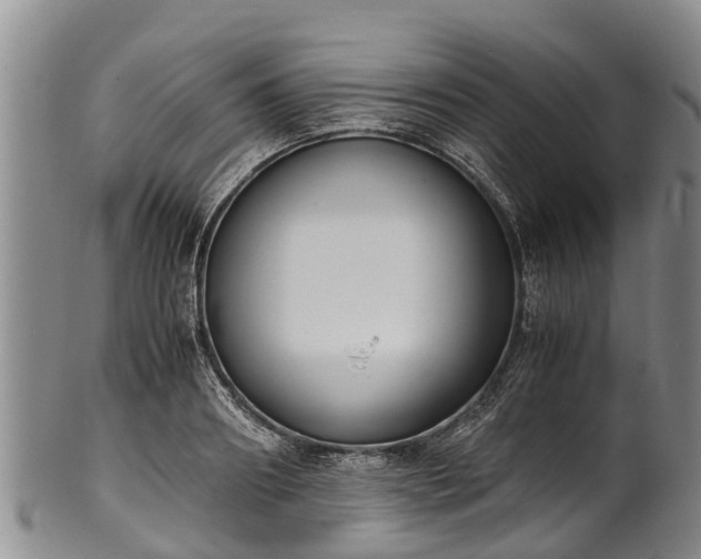 X0000102370890200808081150