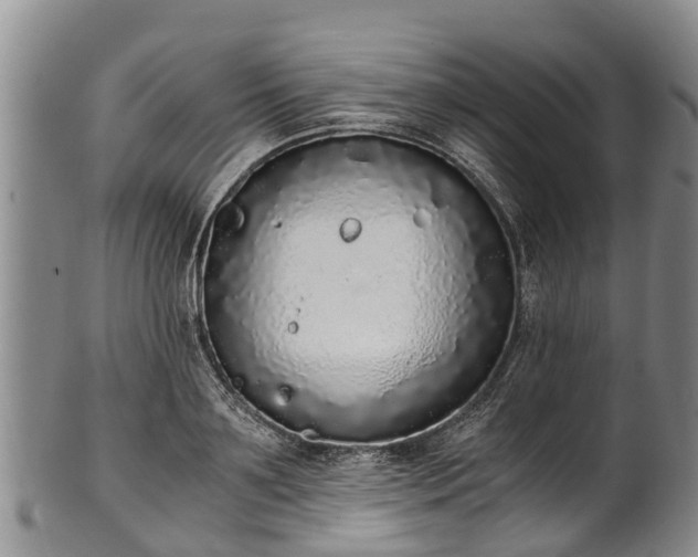 X0000102370891200808081150