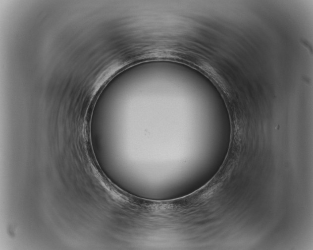 X0000102370893200808081150