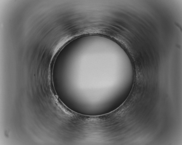 X0000102370894200808081150