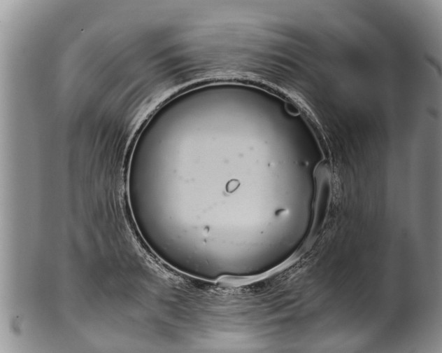 X0000102370895200808081150