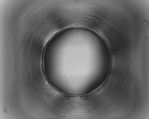 X0000102370896200808081150