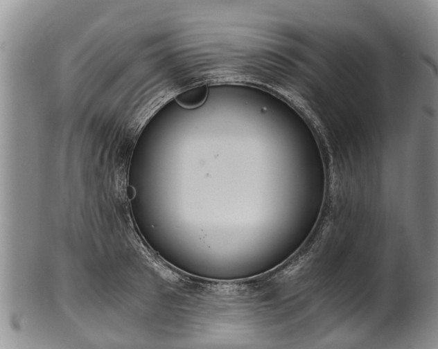 X0000102370897200808081150