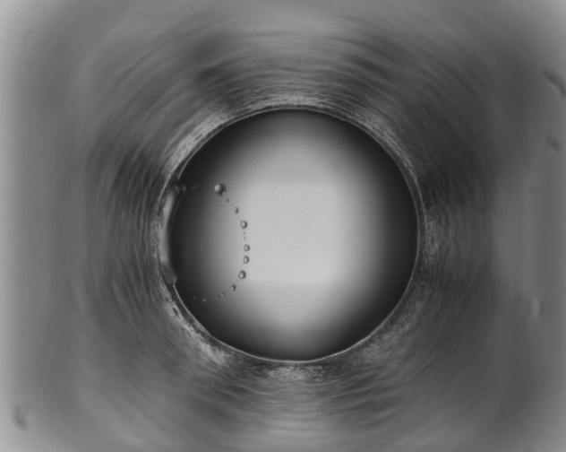 X0000102370898200808081150