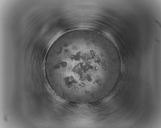 X0000102370899200808081150