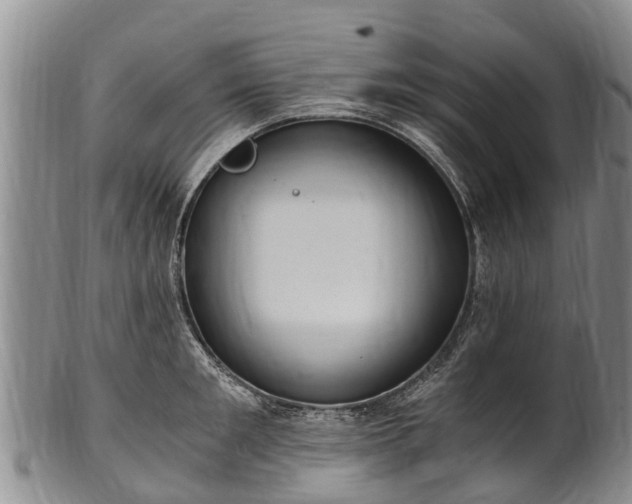 X0000102370901200808081150