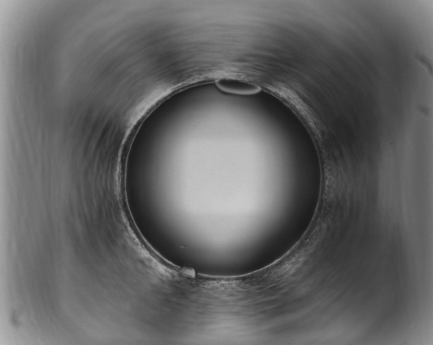 X0000102370902200808081150