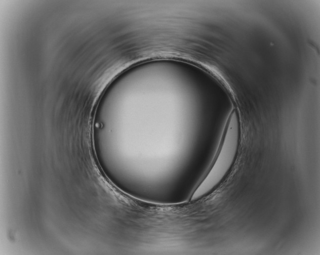 X0000102370903200808081150